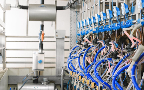 Endüstride Otomasyonun Gücü: Verimlilikte Yeni Dönem